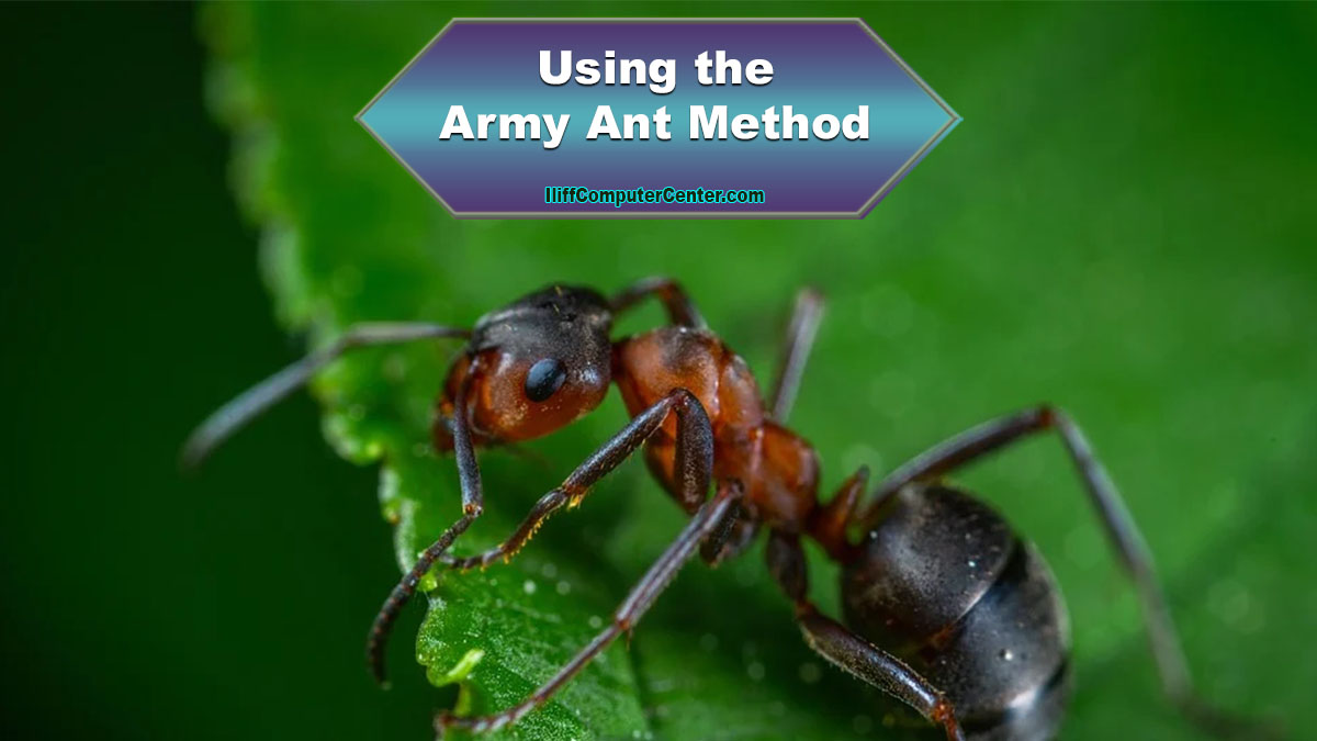 Army Ant Method? Small Questions in a Listicle
