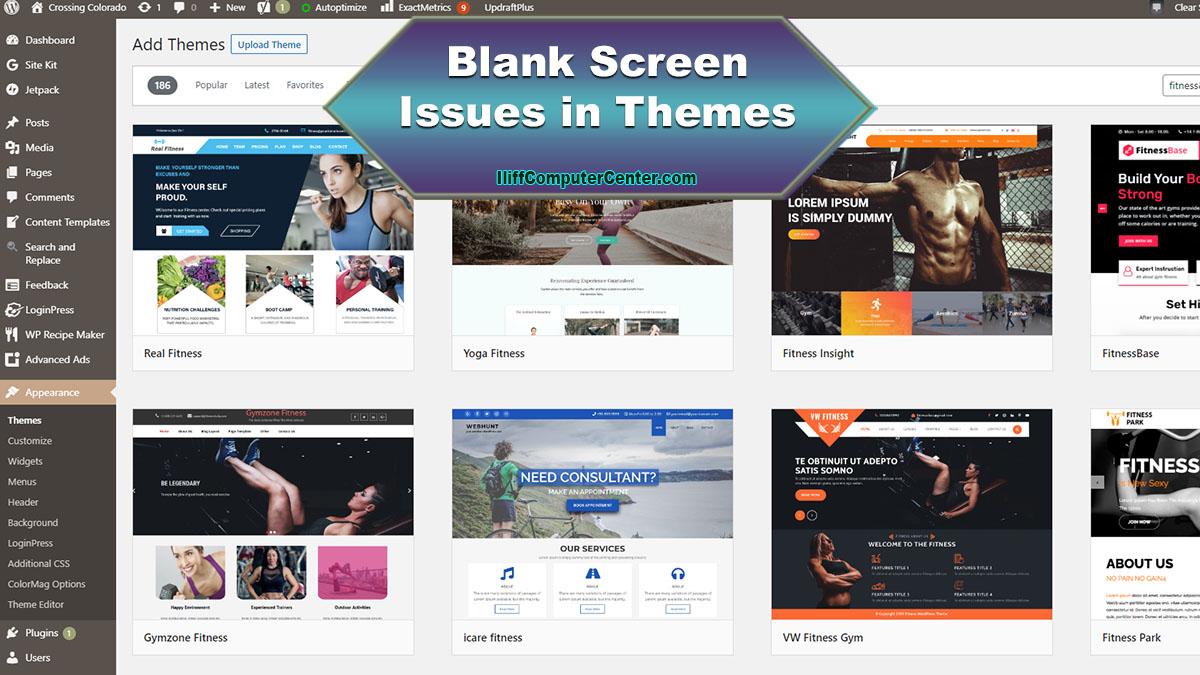 Blank Screen When Previewing New Themes in WordPress